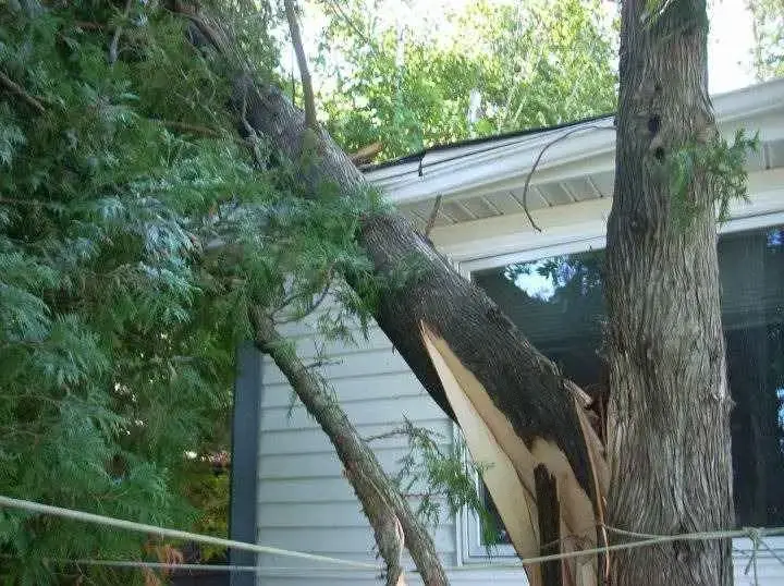 Tree-Damage-House