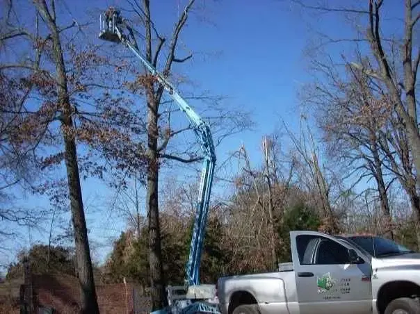 Tree-Work-Equipment